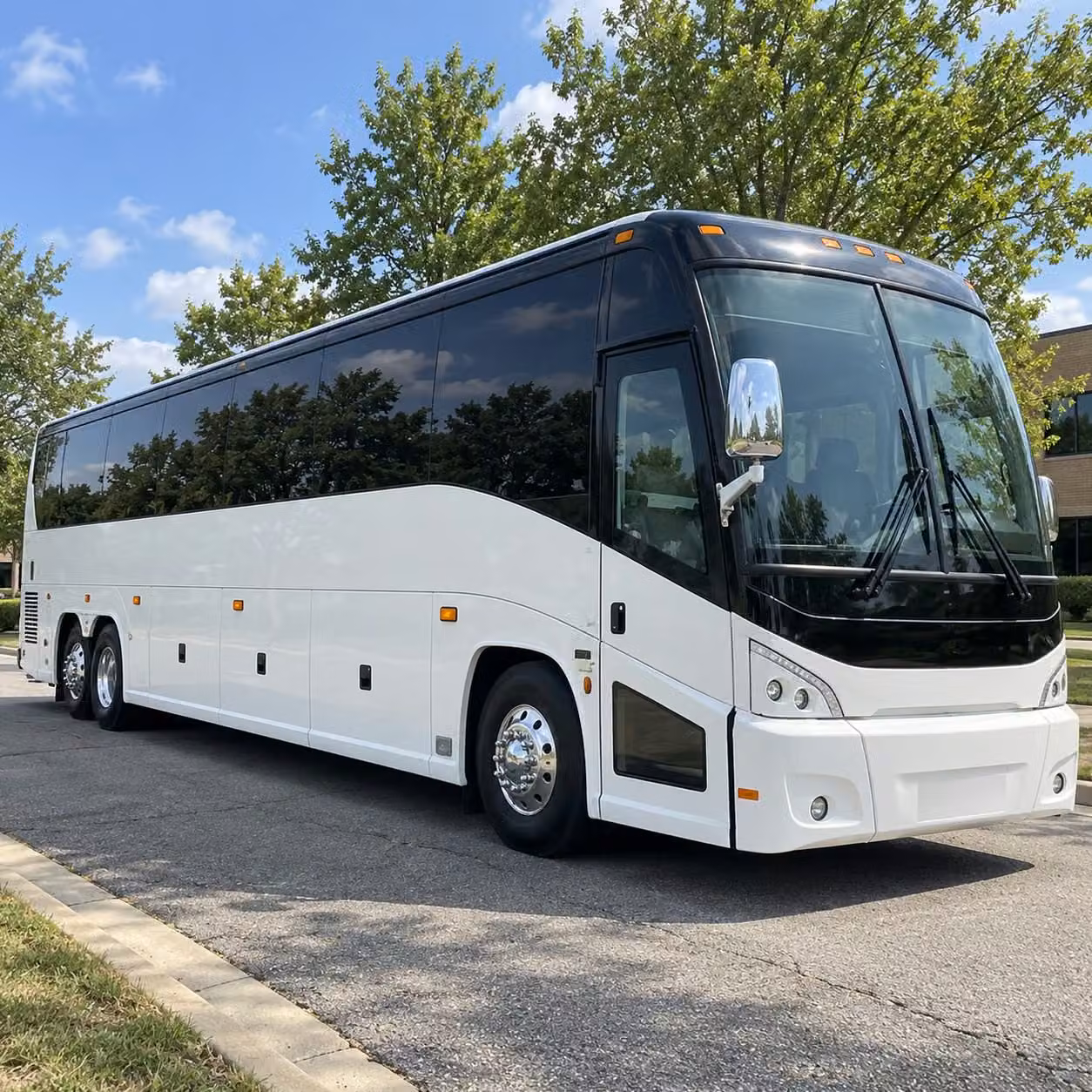 compare buses for sandy springs field trips to zoo atlanta the world of coca cola and more
